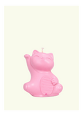 Gatto fortunato