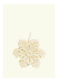 Fiocco di neve