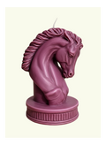 Cavallo